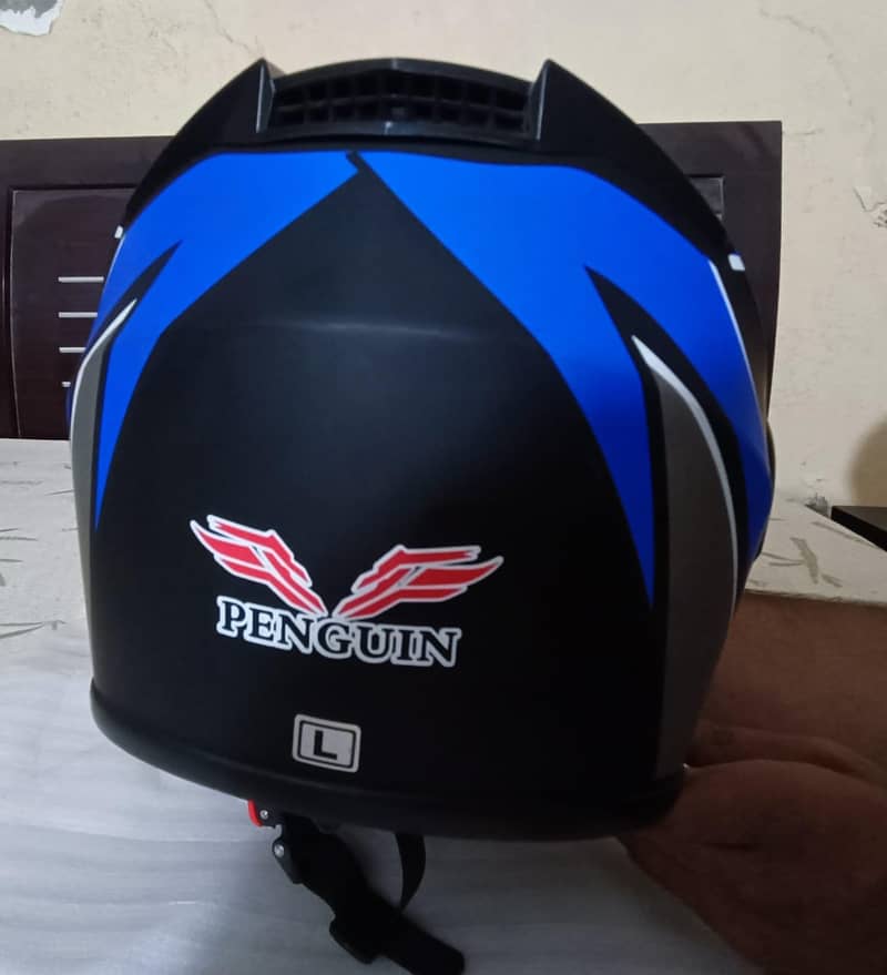 Helmet 6