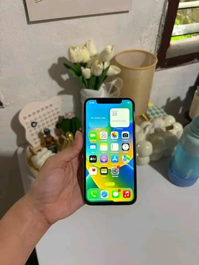 Apple iPhone X pta approved 256gb