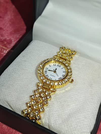 luxury watch