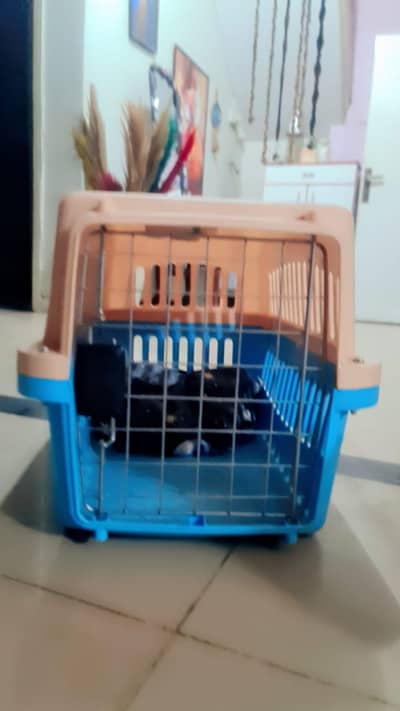 Pet Carrier