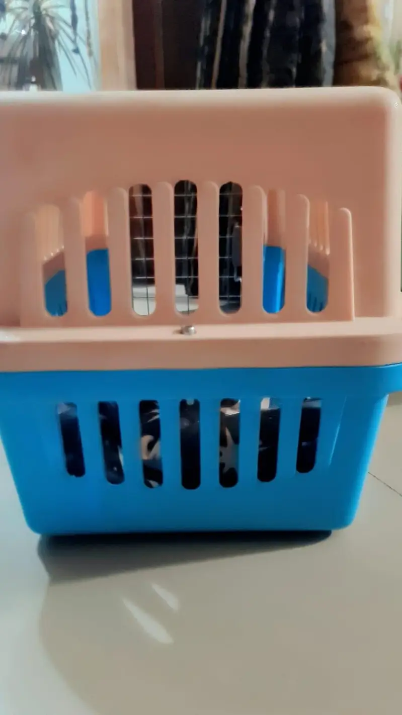 Pet Carrier — photo 2