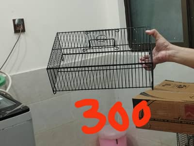 pots of birds for sale
