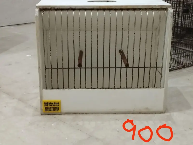 pots of birds for sale — photo 2