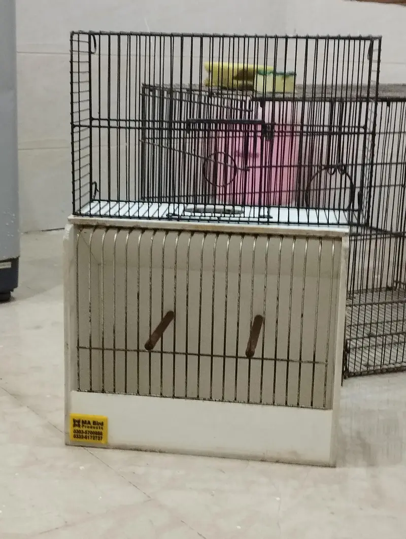 pots of birds for sale — photo 3