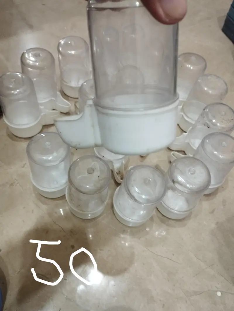 pots of birds for sale — photo 8