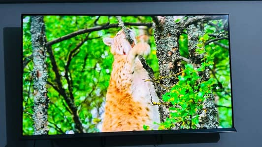 TCL 50 inch led with slim body smart led with box and all accessories