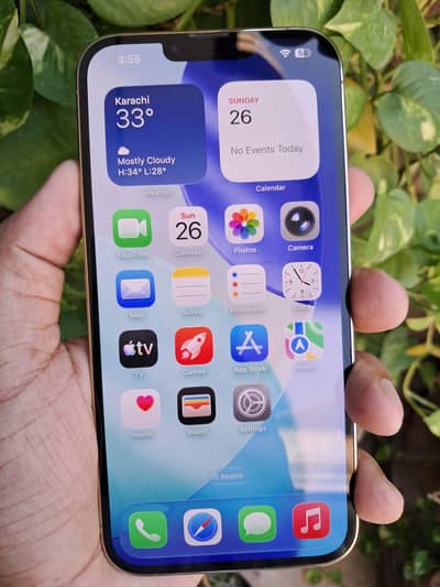 Apple iPhone 13 Pro Max