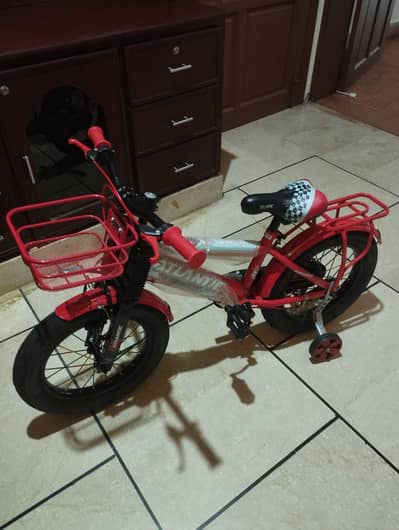 Brand New Cycle