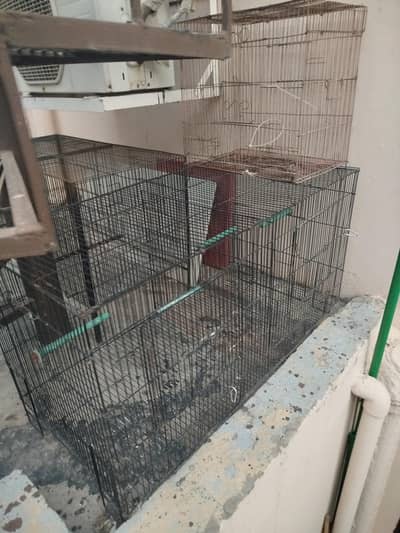 cage 1.5 x 3