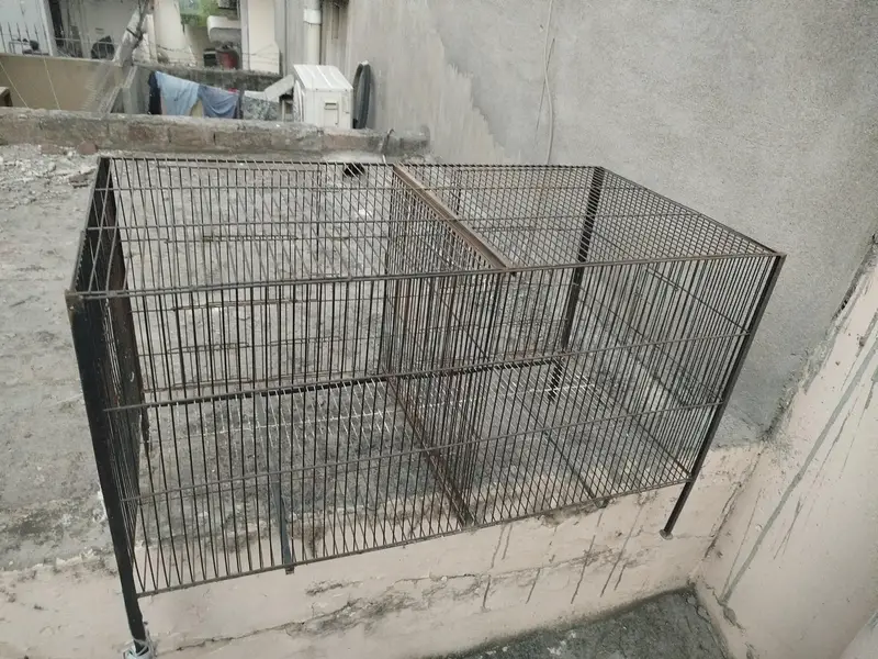 cage 1.5 x 3 — photo 2