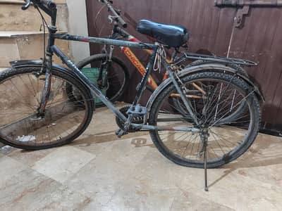 2 Cycles for for sale. Chicago and Phoenix