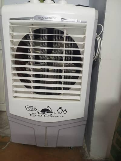 Air Cooler