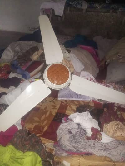 fan for sale new