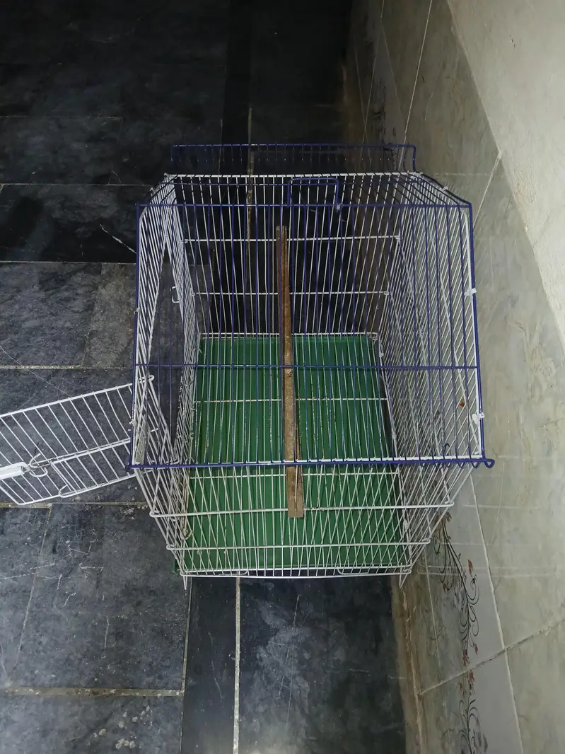 Bird's Cage for sale exchange option available — photo 5