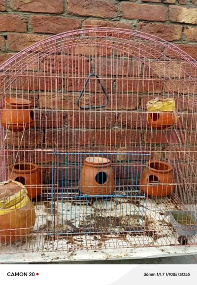 parrot cage Urgent for sale