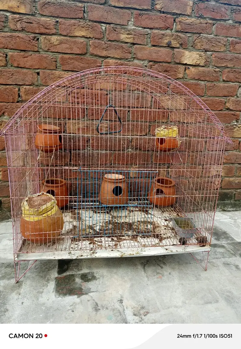 parrot cage Urgent for sale — photo 2
