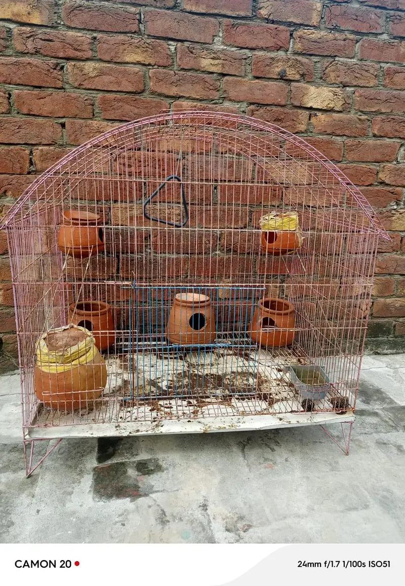 parrot cage Urgent for sale — photo 3
