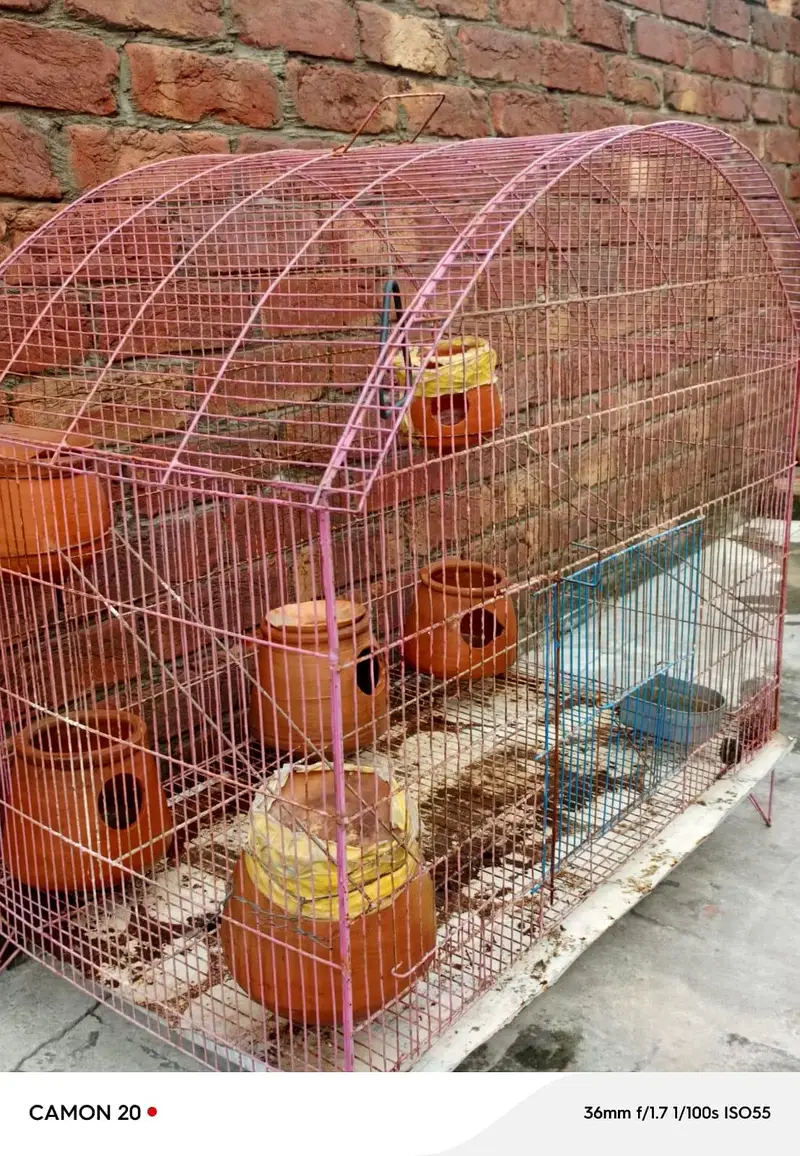 parrot cage Urgent for sale — photo 5