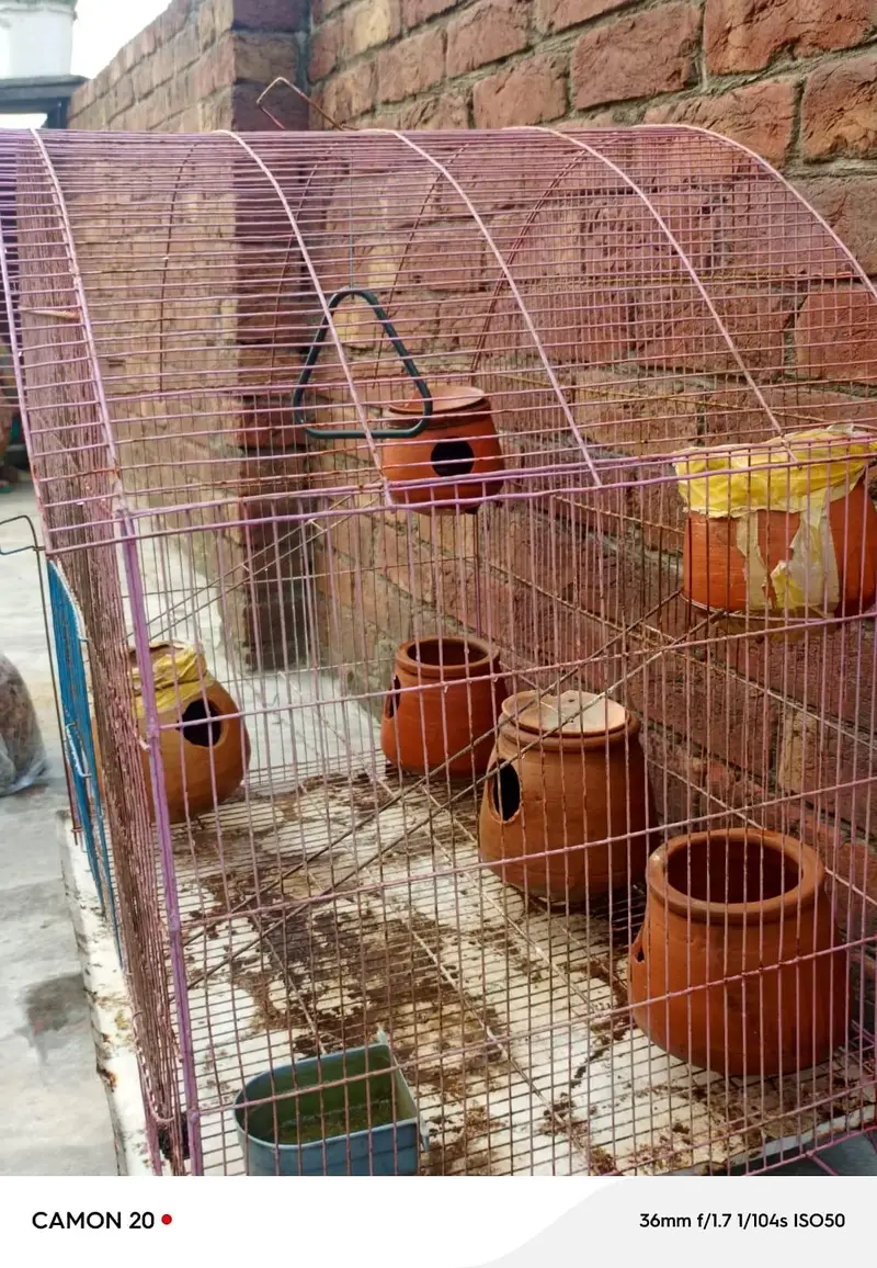 parrot cage Urgent for sale — photo 6