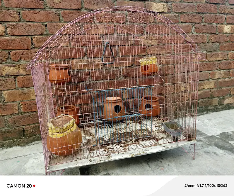 parrot cage Urgent for sale — photo 7