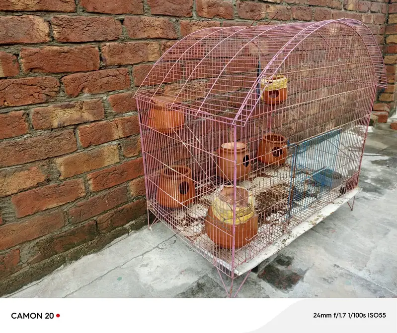 parrot cage Urgent for sale — photo 8