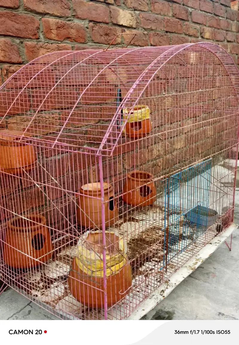 parrot cage Urgent for sale — photo 9
