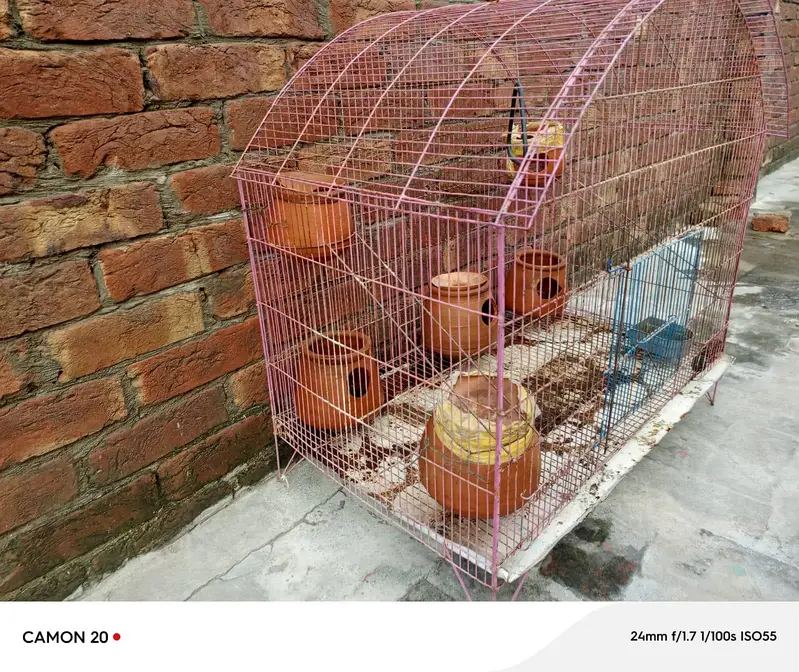 parrot cage Urgent for sale — photo 10