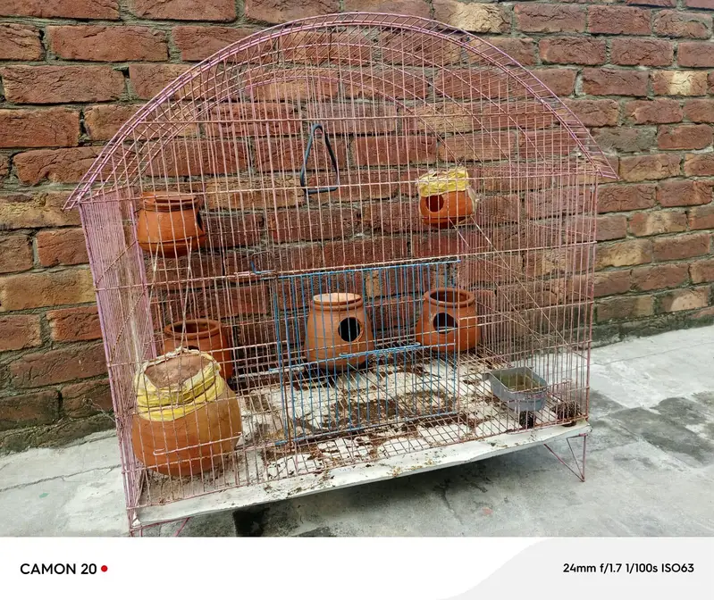 parrot cage Urgent for sale — photo 11