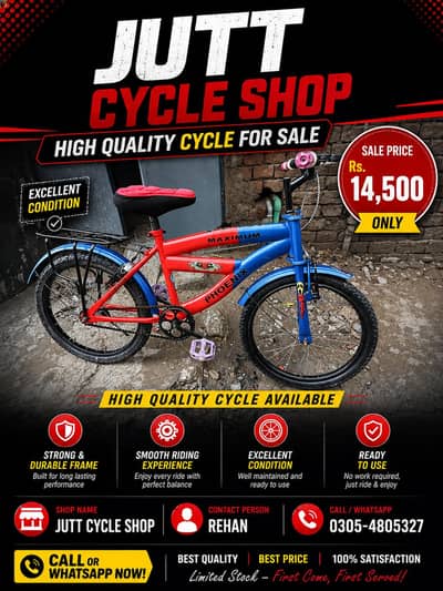20 inch importan bicycle