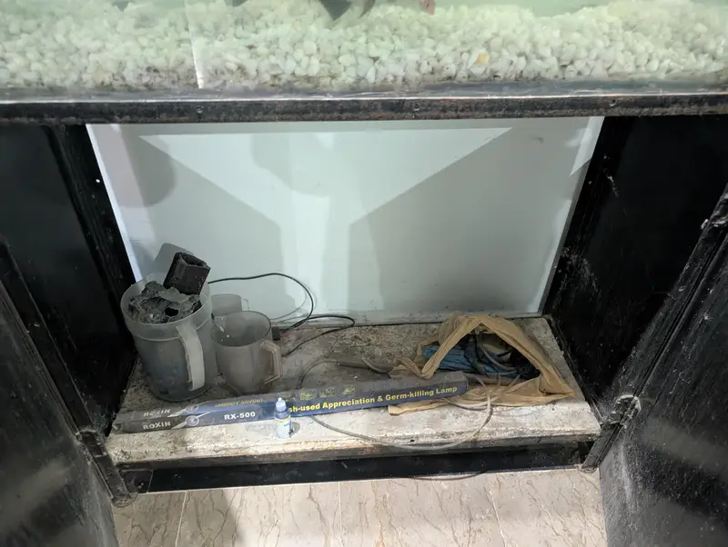 Aquarium for sale with fishes — photo 3