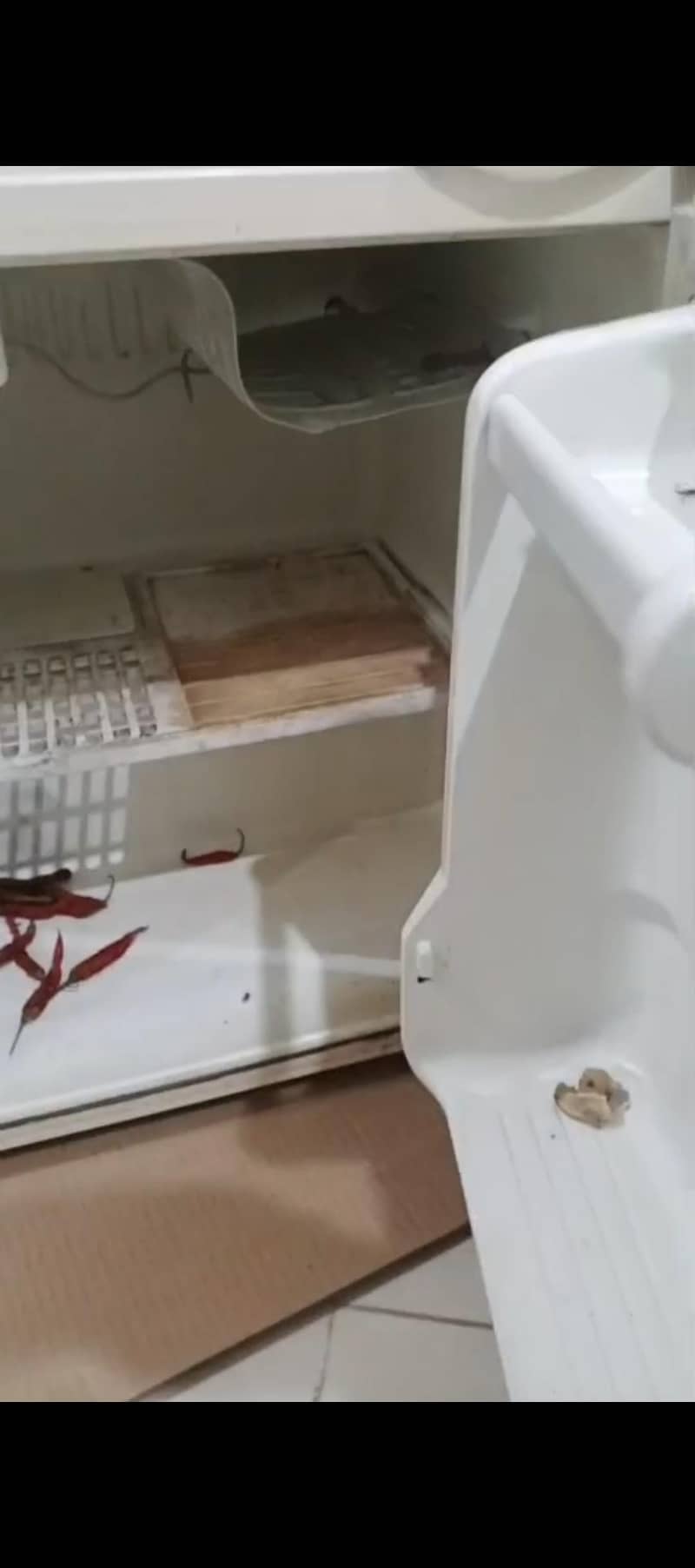 refrigerator 2