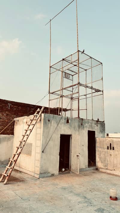 pigeon steel cage urgent sale