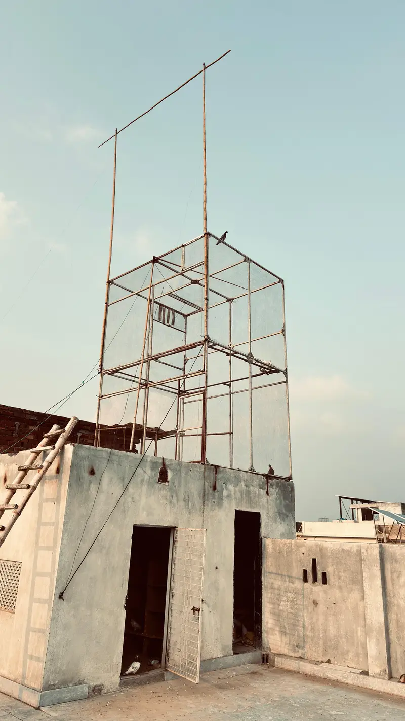 pigeon steel cage urgent sale — photo 2