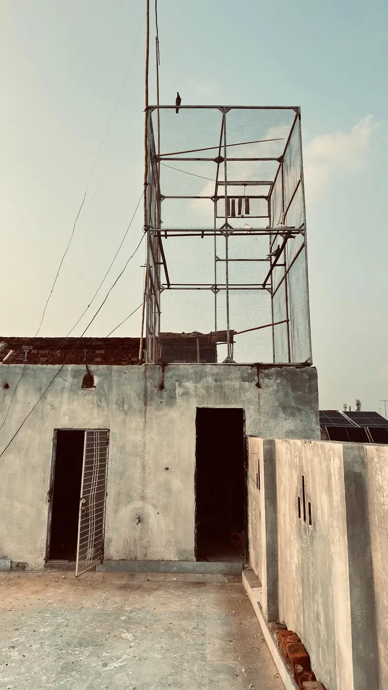 pigeon steel cage urgent sale — photo 3