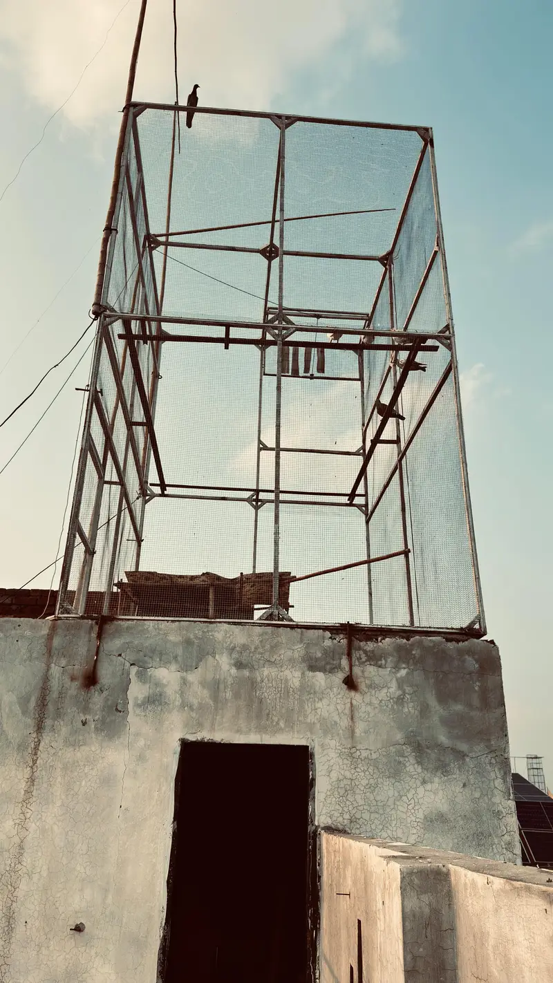 pigeon steel cage urgent sale — photo 4