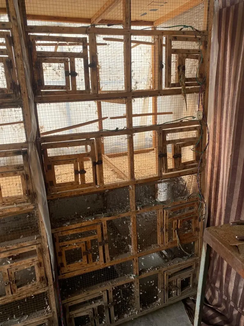 Hen cages — photo 4