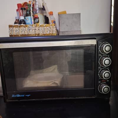 Electric oven