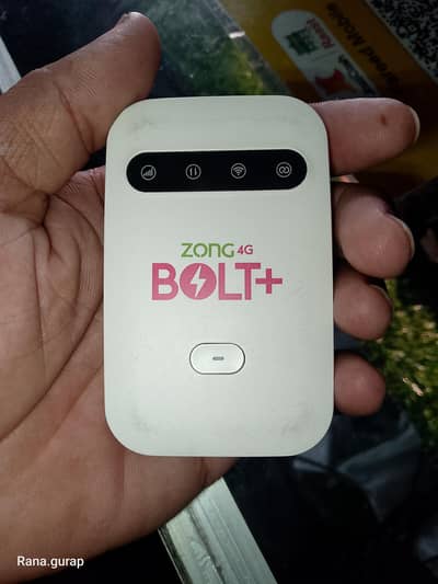 zong bold plus