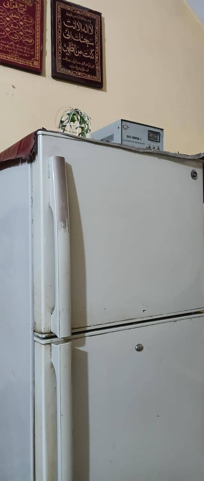 Fridge 1