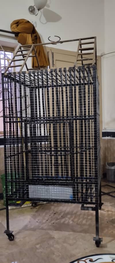 Big Strong Cage
