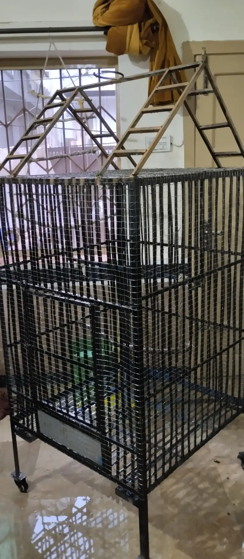 Big Strong Cage — photo 3