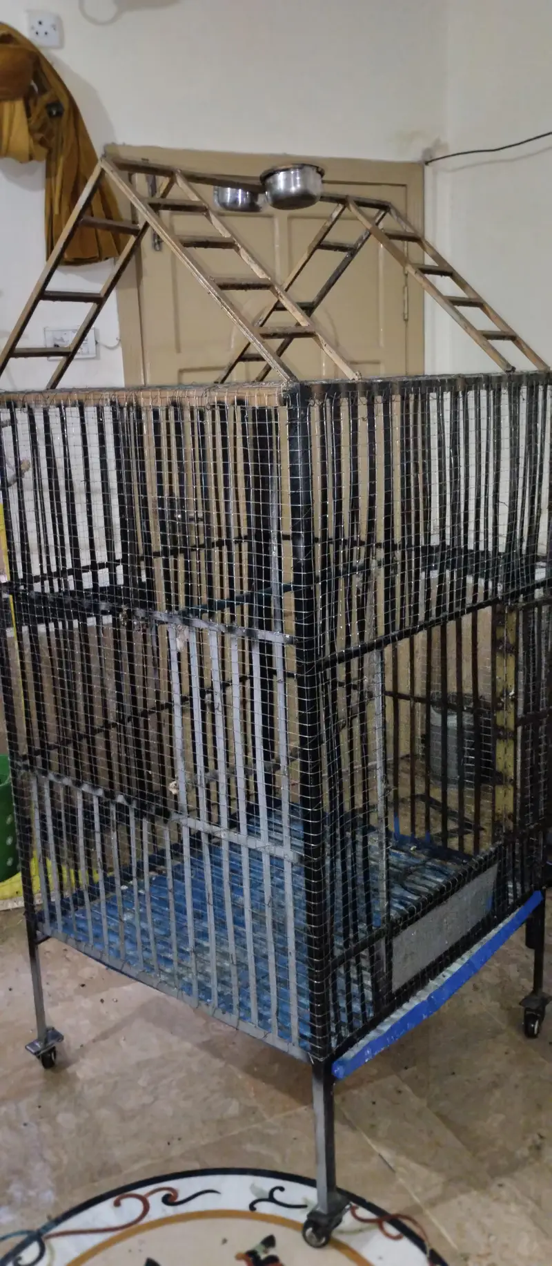 Big Strong Cage — photo 7