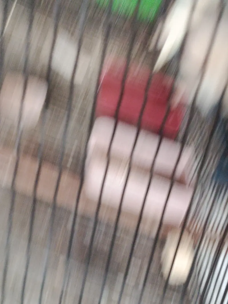 Complete birds and parrots setup for sale with accessories and cage — photo 10