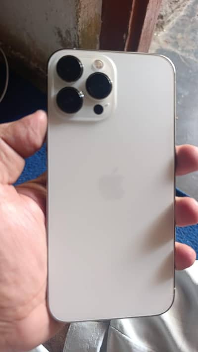 Apple iPhone 13 Pro Max