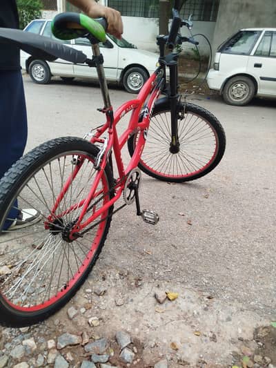Chinese cycle