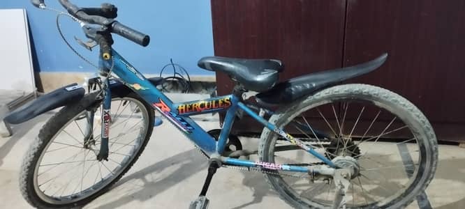 20 Inch Cycle