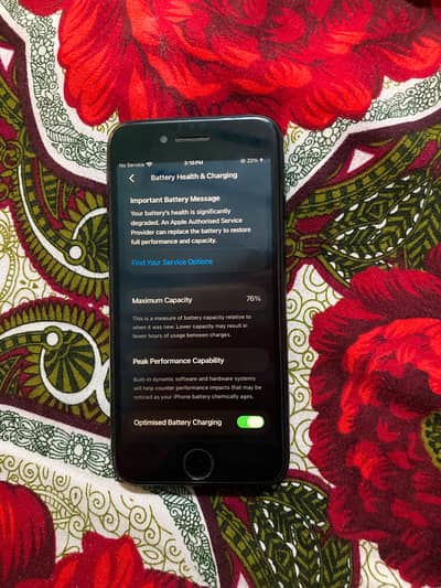 Apple iPhone SE panel change