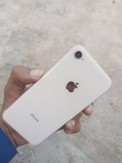 iphone 8