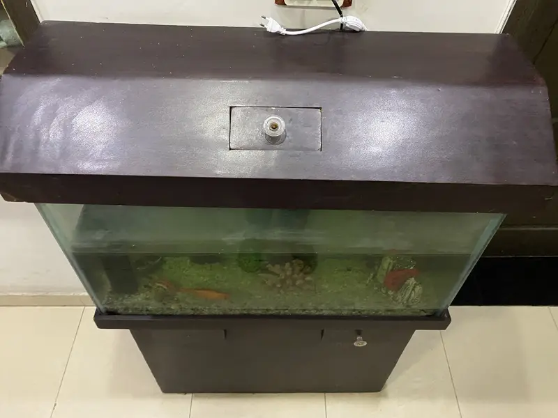 fish aquarium — photo 2