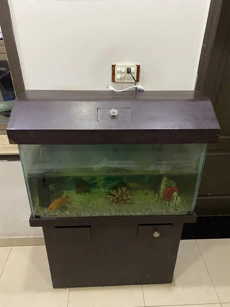 fish aquarium — photo 5